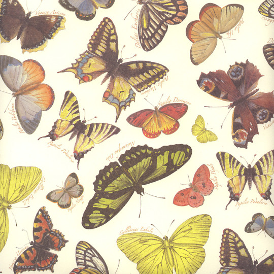 Botanical Butterfly Print Italian Paper ~ Leonardo Communication
